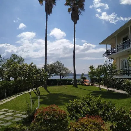 Two Palm Trees Apartamento