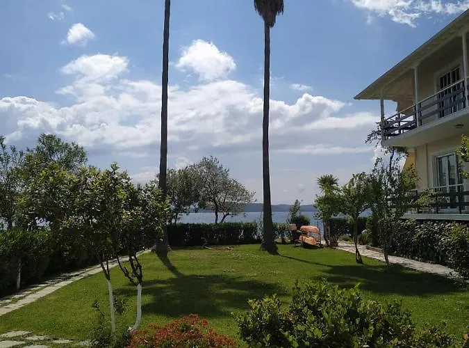 Two Palm Trees Appartement